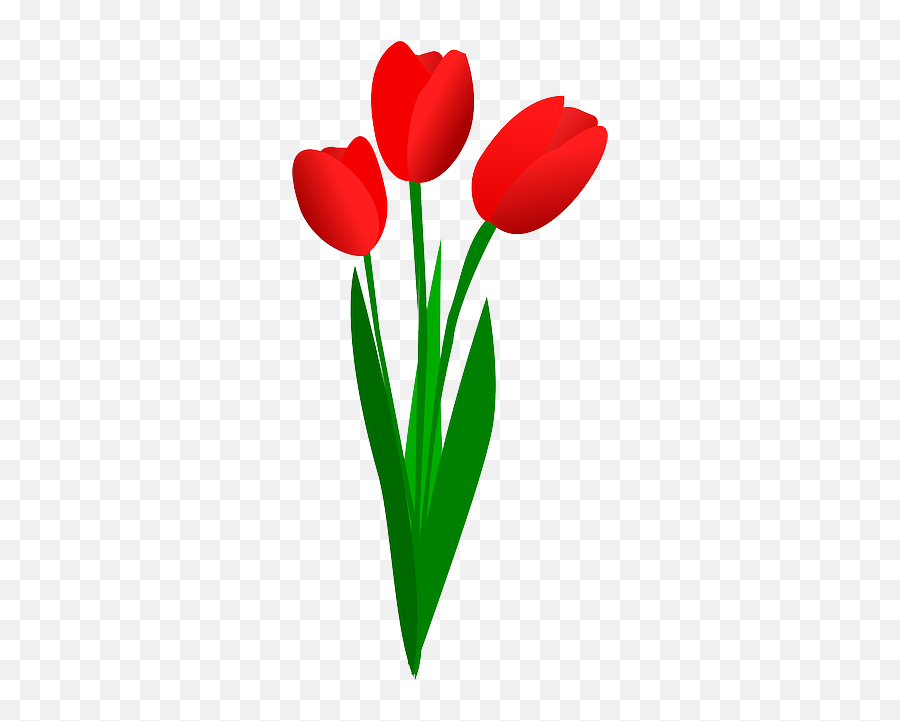 Download Stem Clipart Bunga - Tulip Flowers Clip Art Full Clipart Tulip Png,Bunga Png