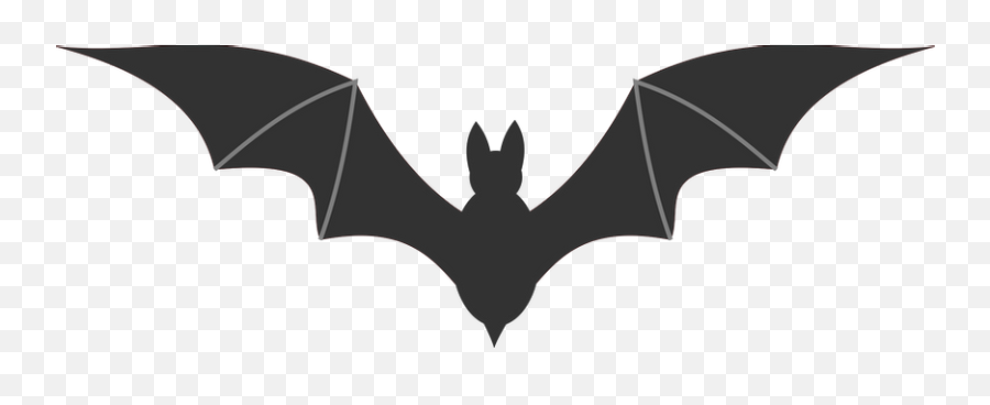 Bat Png Images - Bat Clipart No Background,Bats Transparent