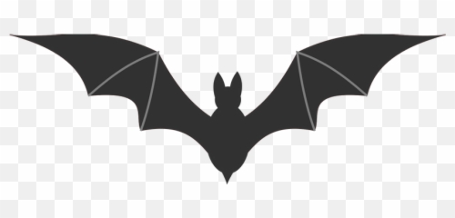Bat Png Images - Clipart No Background