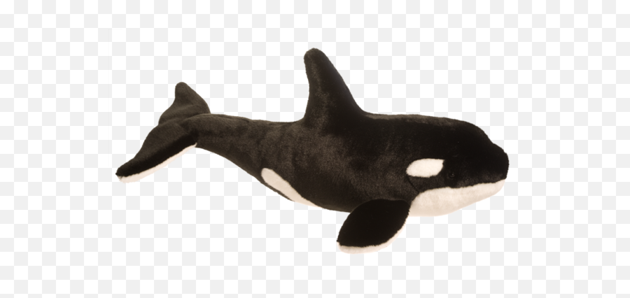 Douglas Balena Orca Whale Stuffed Animal - Killer Whale Stuffed Animal Png,Killer Whale Png