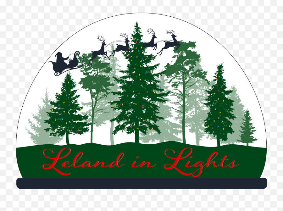 Leland In Lights Featuring Tree Lighting Town Of - Pine Forest Vector Png,Christmas Tree Lights Png