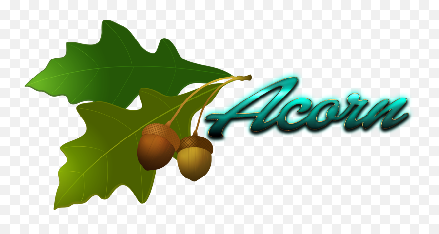 Acorn And Oak Leaf - Fresh Png,Oak Leaf Png