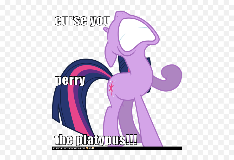 Curse You Perry The Platypus - Cheezburger Funny Memes Friendship Is Magic Twilight Sparkle Png,Perry The Platypus Png