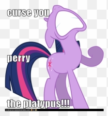 Curse You Perry The Platypus - Cheezburger Funny Memes Friendship Is Magic Twilight Sparkle Png,Perry The Platypus Png