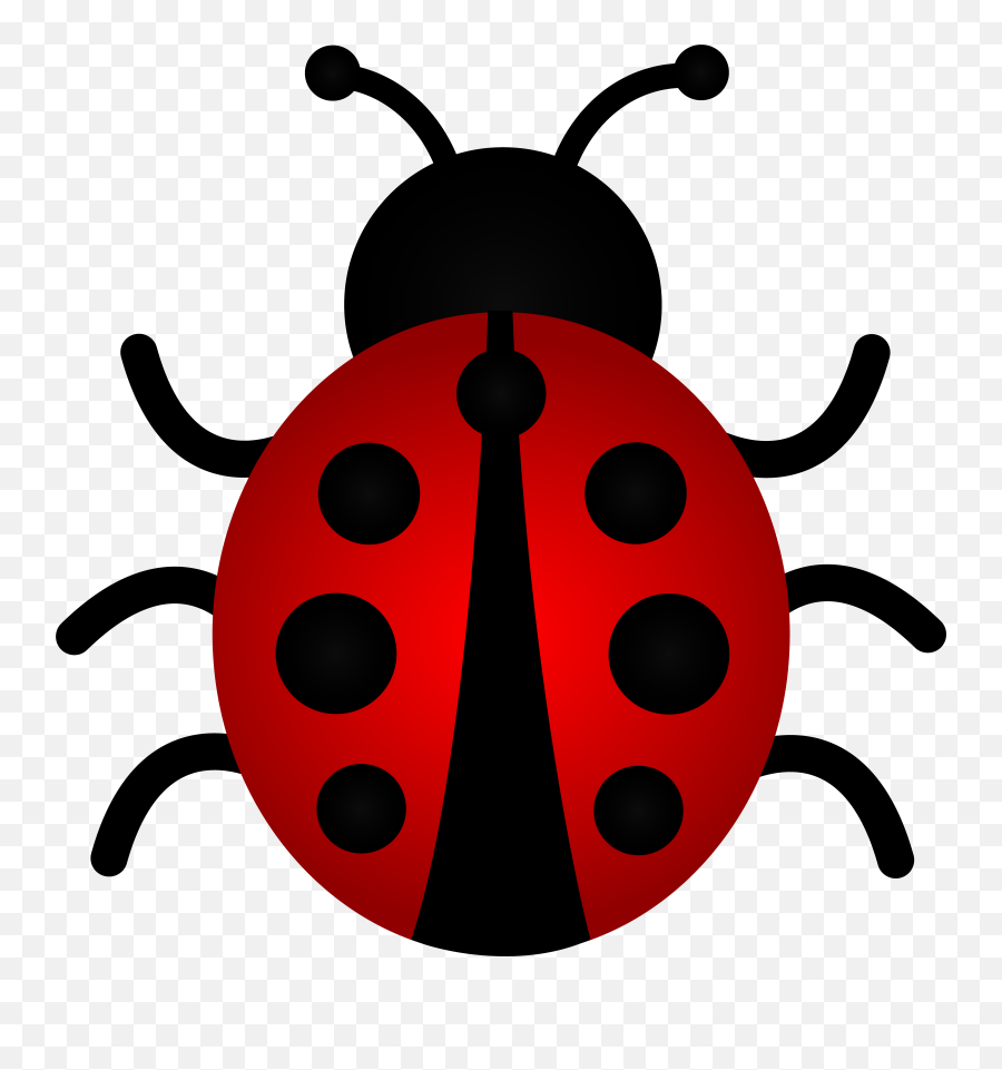 Library Of Ady Bugs Jpg Free Images Png Files Clipart - Miguel Hidalgo Park,Bugs Png