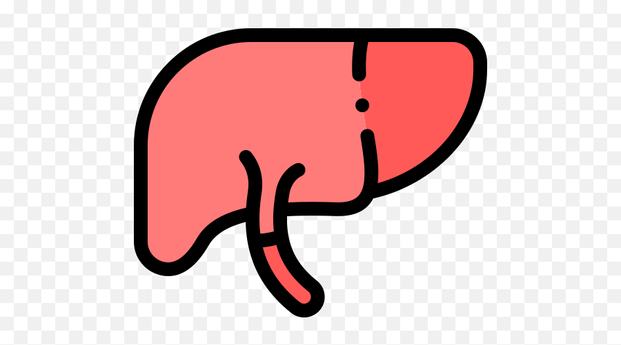 Liver Free Vector Icons Designed By Freepik Icon - Big Png,Liver Icon