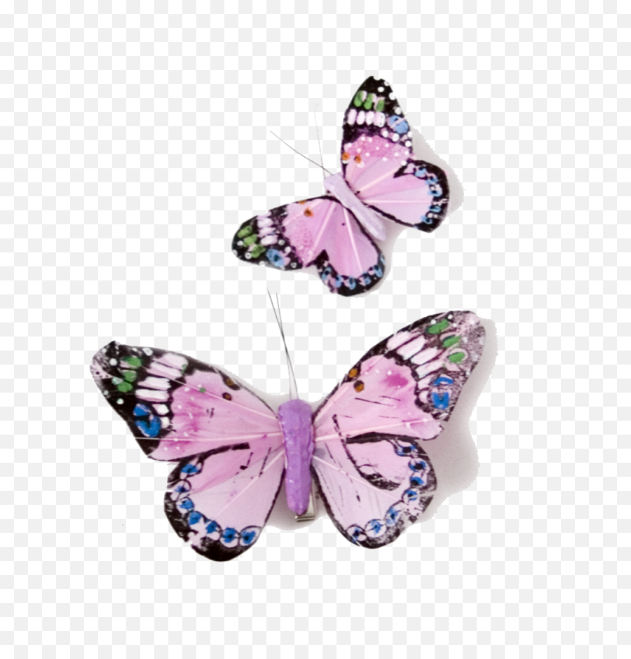 Download Pink Butterfly Transparent Png - Mariposas Monarcas Color Rosas,Butterfly Transparent