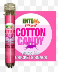Mini - Kickers Flavored Cricket Snacks Edible Crickets In 10 Hymenopterans Png,Flavor Icon