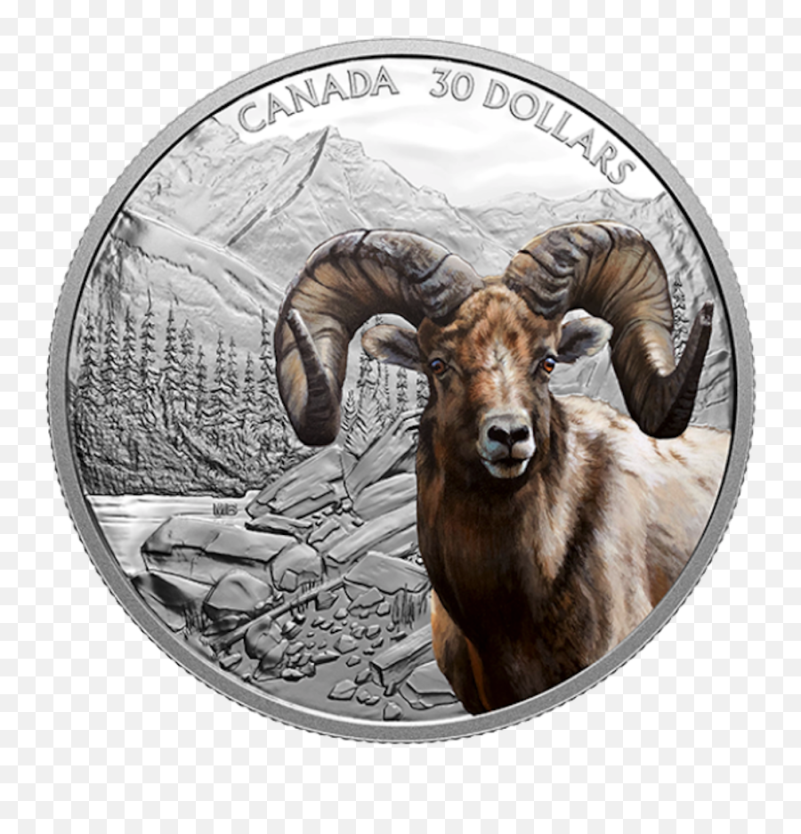 2 Oz Pure Silver Coin U2013 Imposing Icons Series Bighorn Sheep - Rocky Mountain Bighorn Sheep Coin Canada Post Png,Sheep Icon