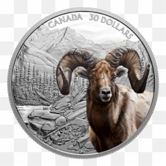 2 Oz Pure Silver Coin U2013 Imposing Icons Series Bighorn Sheep - Rocky Mountain Canada Post png