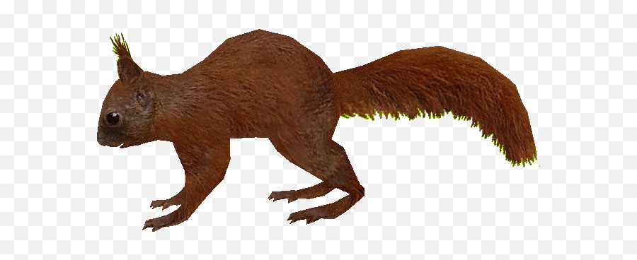 Extinct Animals Squirrel - Animal Figure Png,Zoo Tycoon 2 Icon