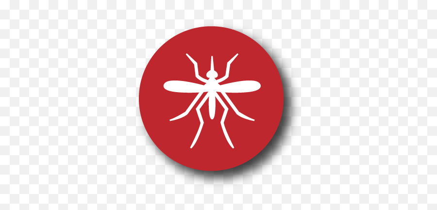 Pest Library - Mosquitoes Inspectall Services Parasitism Png,Mozzie Icon