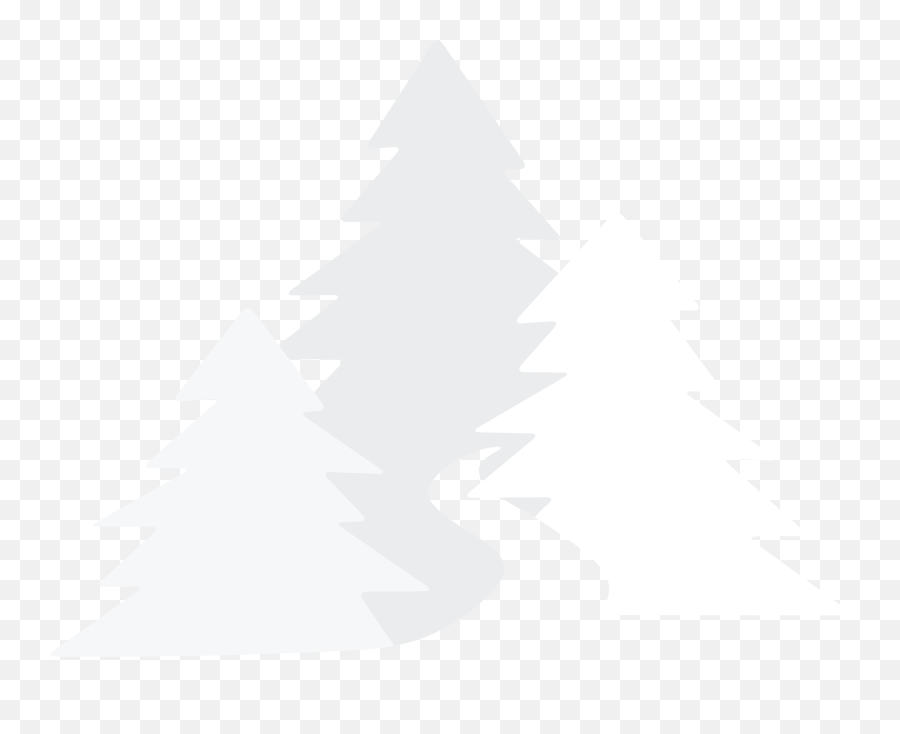 Forward Family Healthcare Experience The Freedom And - Temperate Coniferous Forest Png,Icon Variant ?????
