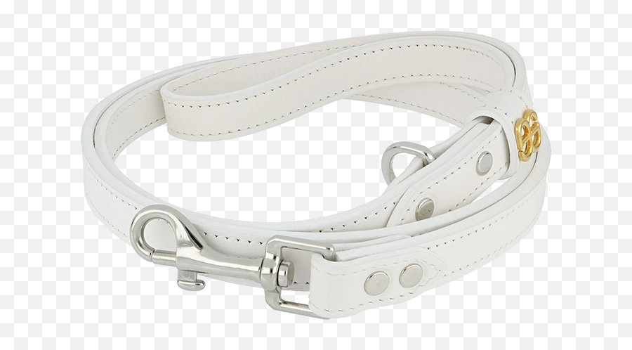 Leash Icon - Col White Luxury Fashion Collars And Leashes Solid Png,Colonel Icon