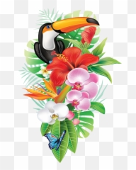 Toucan Clipart Rainforest Brazilian - Tropical Flower Vector Png,Tucan Png