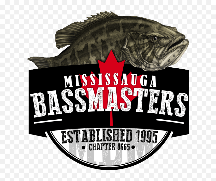 Mississauga Bassmasters - Bass Png,Fishing Logos