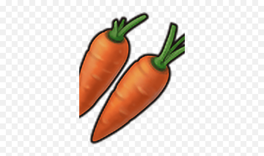 Carrot Last Day - Ldoe Caroot Png,Carrots Png