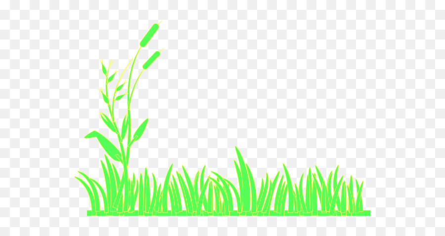 Free Grasses Cliparts Download Clip Art - Keine Der Garten Notizbuch A5 120 Blanko Seiten In Weiß Für Gärtner Und Landschaftsgärtner Png,Grass Clipart Png