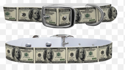 100 Dollar Bill Dog Collar - png