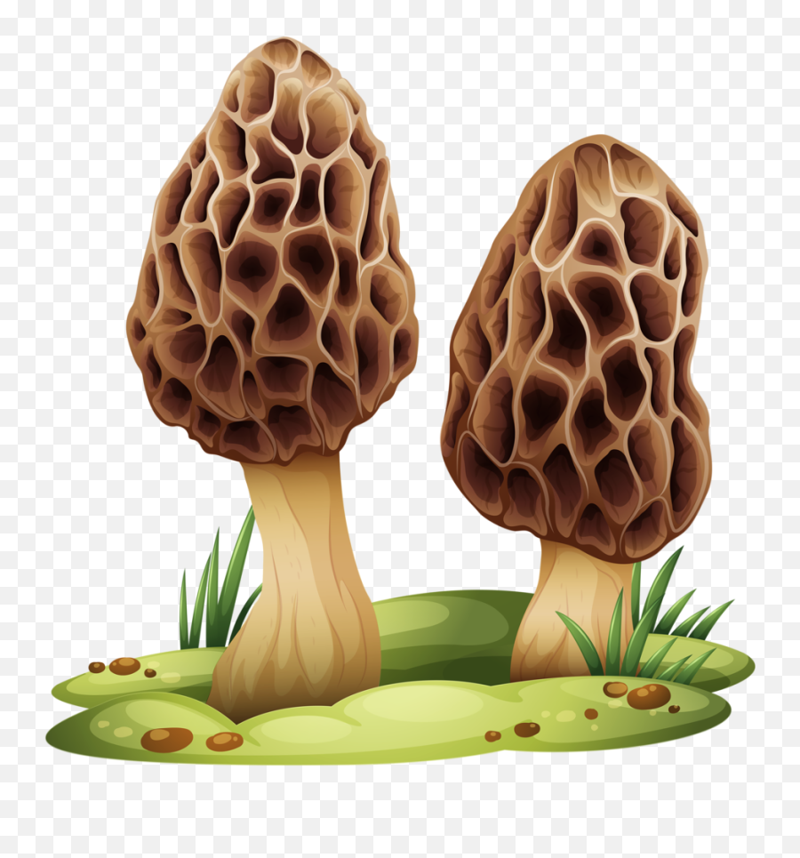 Download Hocus Pocus Mushroom Kit - Planet Hollywood Resort And Casino Png,Mushroom Transparent Background