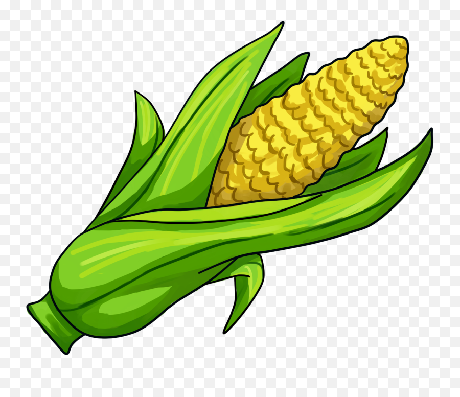 Corn Illustration Png Transparent - Transparent Background Corn Clipart,Corn Cob Png
