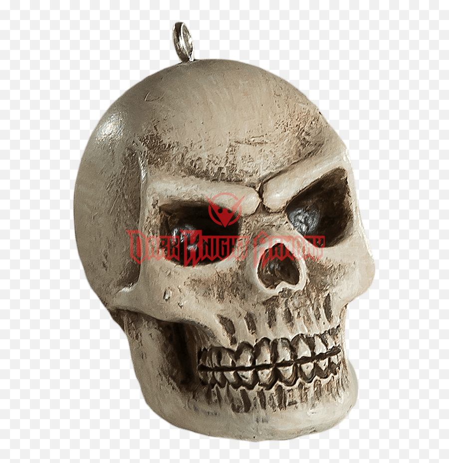 Download Hd Human Skull Horror Ornament - Skull Transparent Skull Png,Human Skull Png