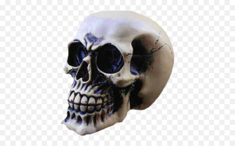 Download Skeleton Head Png Transparent Images - Dsstyles Led Skull,Skeleton Png Transparent