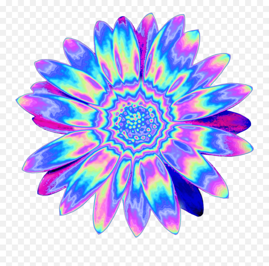 Shapely Flower Holo Holographic Tumblr - Holographic Flowers Png,Holo Png