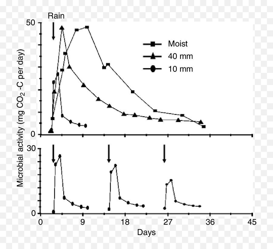 2 Effect Of Amount Rainfall Received - Diagram Png,Rain Effect Png