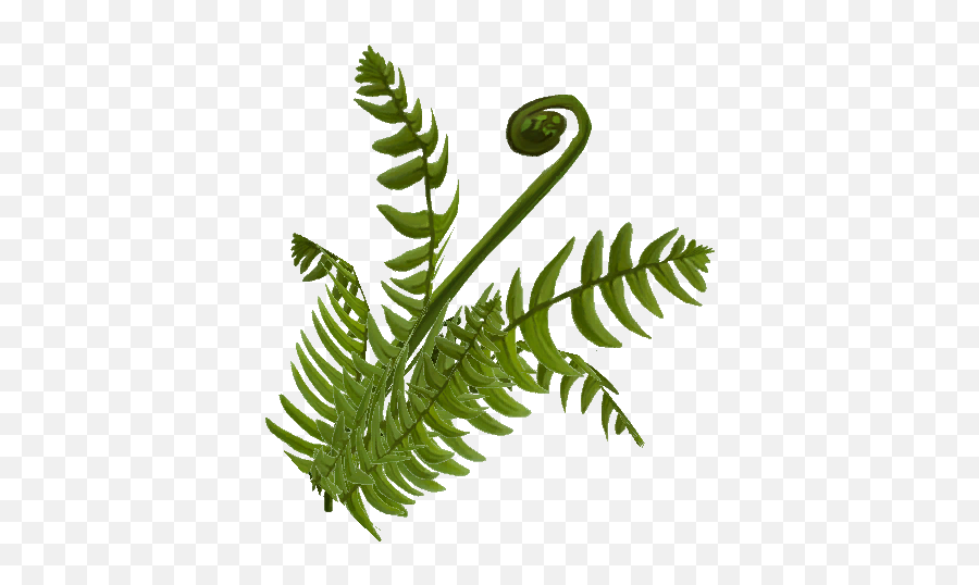 Craftnorrath Landmark Shrubs U0026 Ferns - Fern Png,Ferns Png