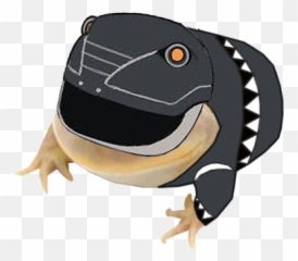 The Something Awful Forums - Amphibians png