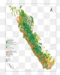 Vegetación Y Uso Del Suelo En La Sierra - English Conjunto De Datos Vectoriales De Uso Del Suelo Y Vegetación Escala 1 250 000 Serie Vi Capa Unión Png,Madre Png