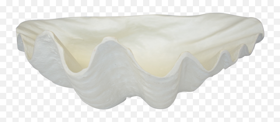 Giant Clam Png Image With No Background - Horizontal,Clam Png