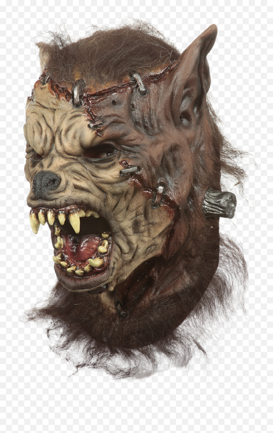 Zombie Teeth Png - Home Demon 4756451 Vippng Demon,Demon Transparent