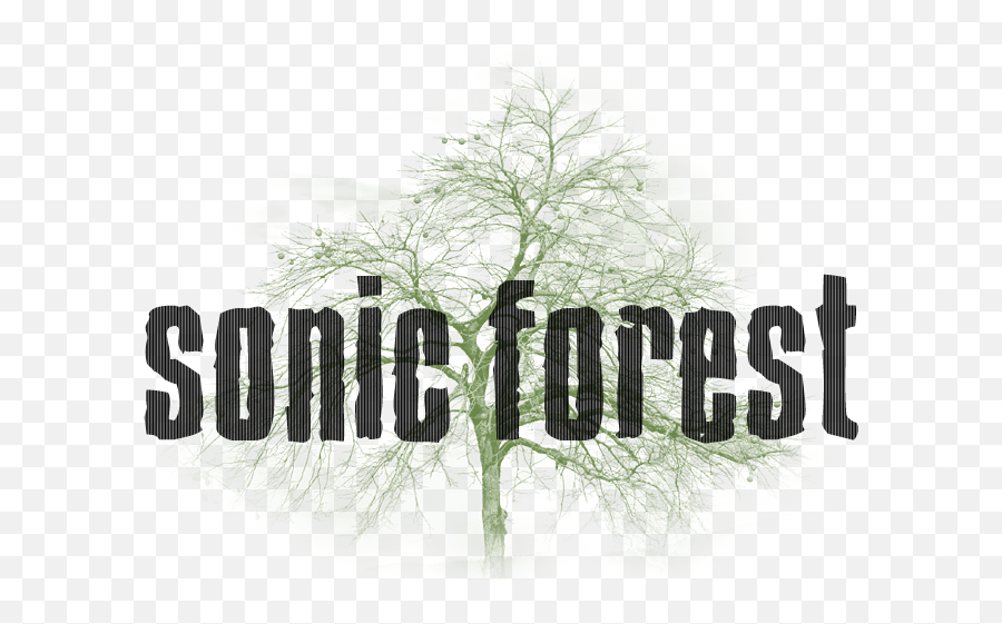 Sonic Forest - Impact Soundworks Border Grill Png,Sonic 2 Logo