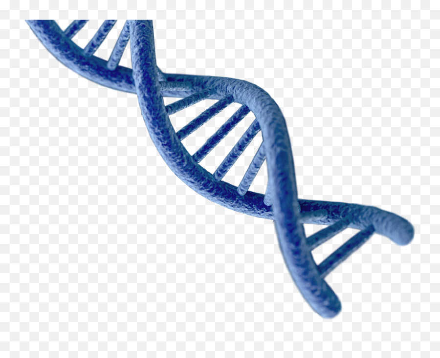 Educator Resources - Solid Png,Dna Helix Icon