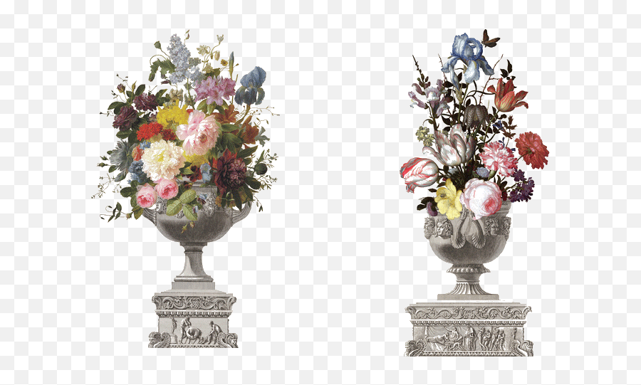 Classical Flower Vase Png Photos - Flowers In A Vase With Flowers In A Vase With Shells And Insects,Vase Png