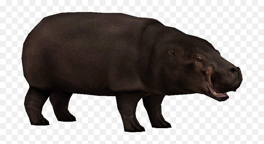 Pygmy Hippopotamus - Pygmy Hippopotamus Png,Zoo Tycoon 2 Icon