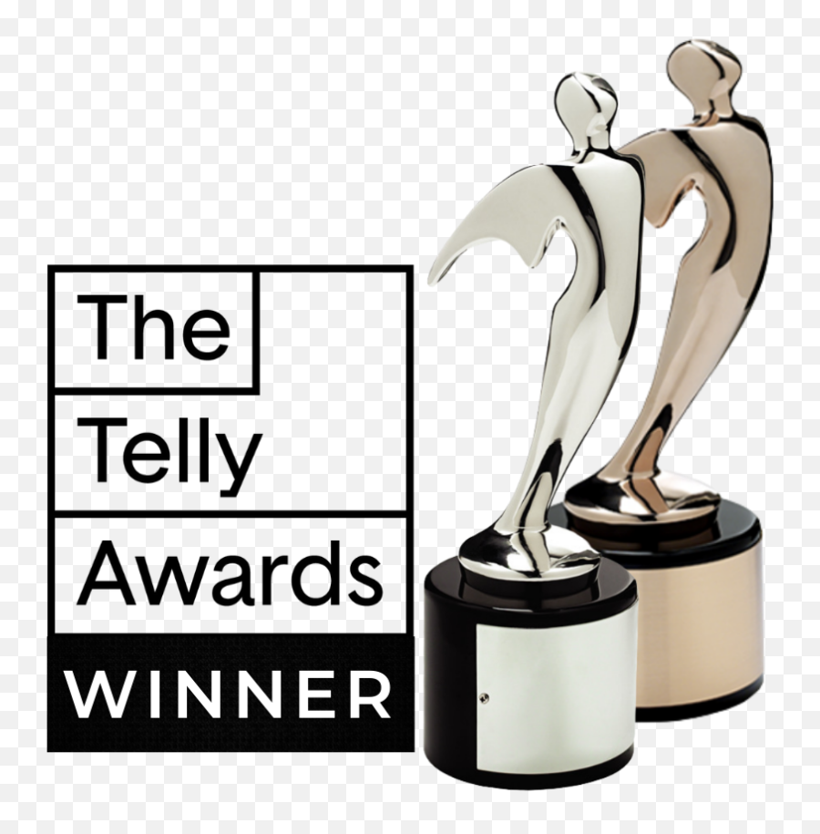 Fly Safe Houston Business And Partnerships - Silver Telly Award Png,Every Icon Has A Story