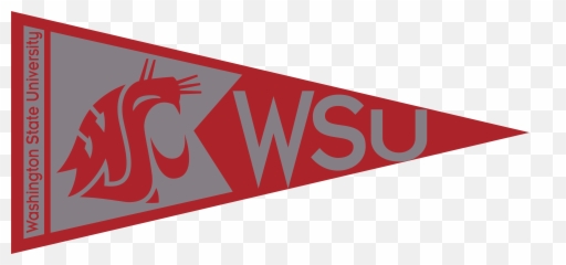 Sports Pennant Png Picture