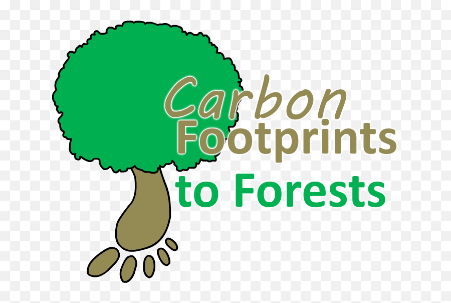Carbon Footprints To Forests - Carbon Footprint For A Tree Png,Footprints Transparent