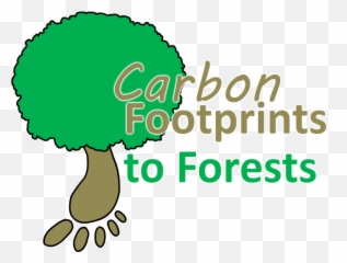 Carbon Footprints To Forests - A Tree png