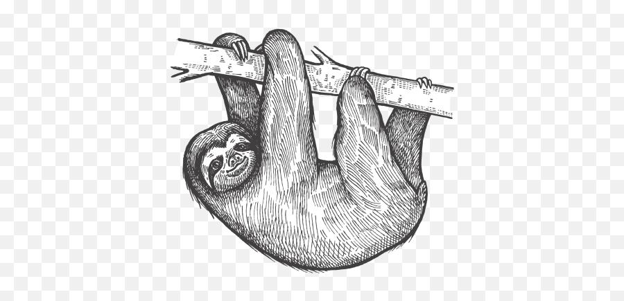 Sloth Png - Sloth Png Transparent,Sloth Png