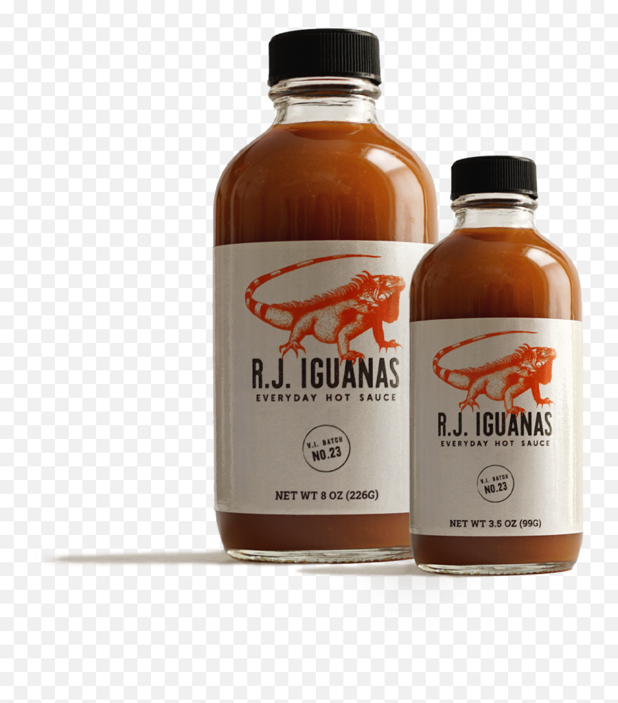 Rj Iguanas - Everyday Hot Sauce Png,Iguana Icon