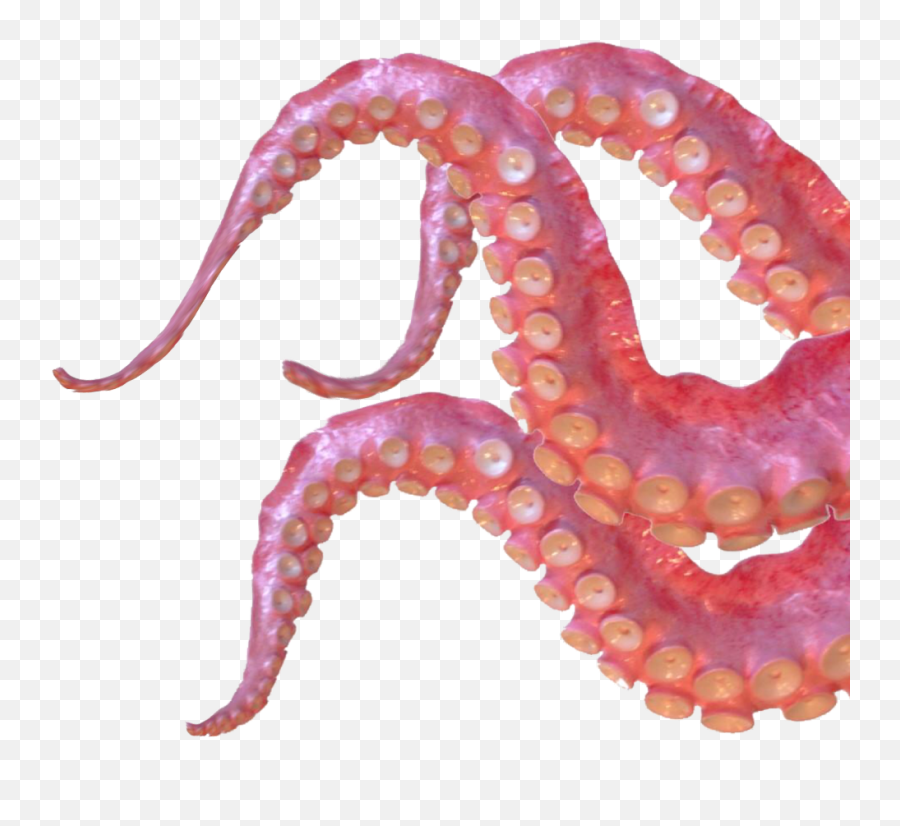 Download Tentacles Sticker - Clipart Octopus Tentacles Png,Tentacles Transparent Background