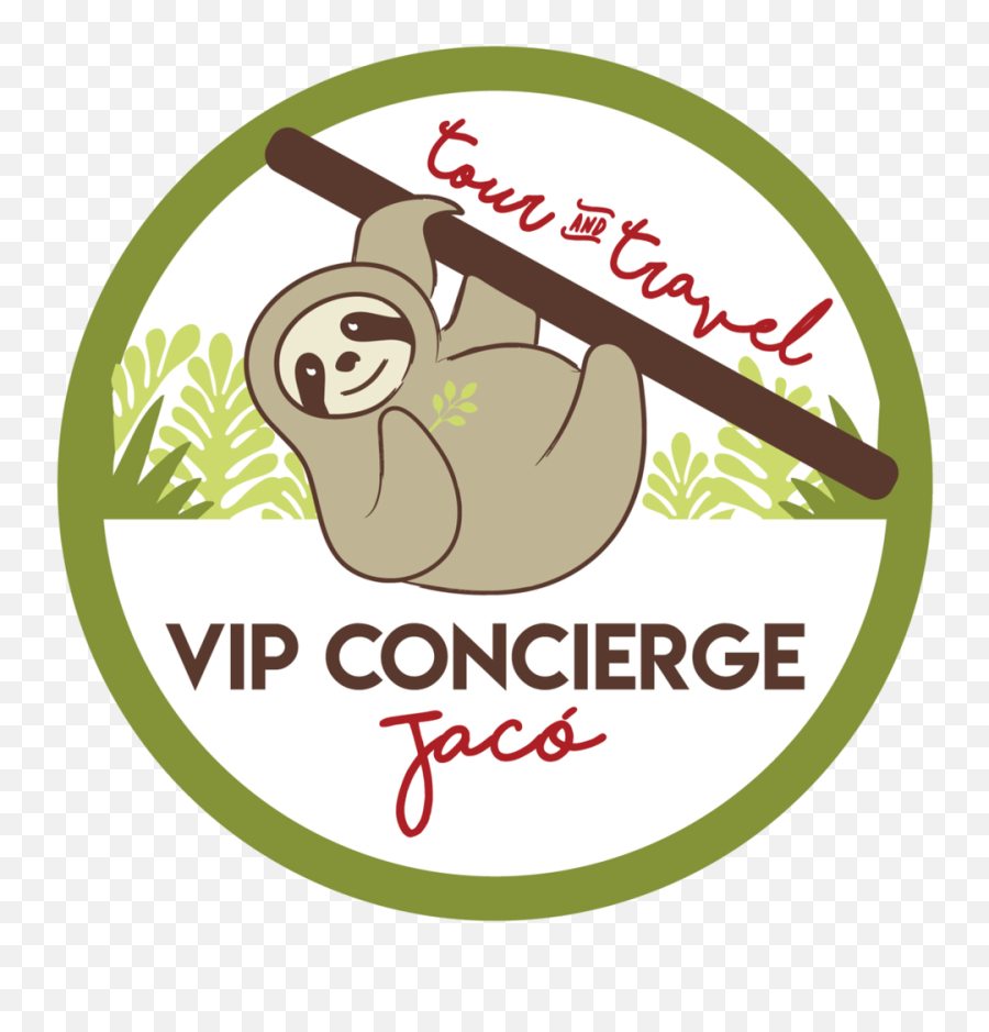 Contact U2014 Vip Concierge Jacó - Cartoon Png,Sloth Transparent Background