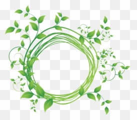Royalty - Leaf Frame Vector Png