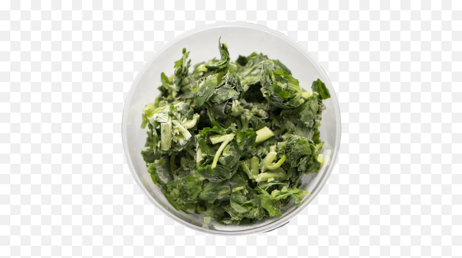 Download Cilantro Coriander - Caesar Salad Png,Cilantro Png