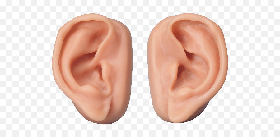 Ear High Quality Png - Transparent Background Ears Png,Ears Png
