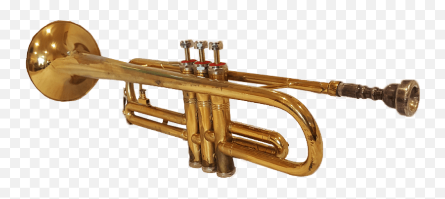 Hawkes Trumpet Png Background Image - Trumpet,Trumpet Transparent
